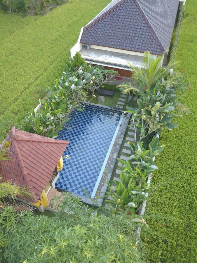 Rosseno Villa Yogyakarta Eksteriør billede